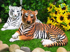 Pair Of Large Siberian And Bengal Tiger Resting 15.5