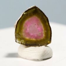 2.20ct Watermelon Tourmaline Slice Crystal Afghanistan Crystal Gem Mineral A54 picture