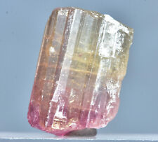 Beautiful Bi Color Tourmaline Crystal 14 Carat picture