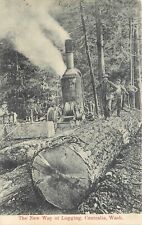 Postcard C-1910 Logging lumber Washington Centralia workers WA24-4311 picture