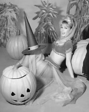 Barbara Eden with Witches Hat Halloween Pumpkin I Dream Of Jeannie 8x10 Photo picture
