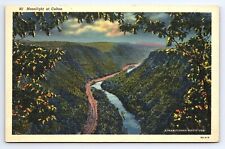 Postcard Moonlight At Colton Pennsylvania Grand Canyon Pine Creek c.1939 picture
