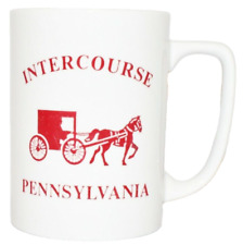 Cup Mug Coffee Tea Intercourse Pennsylvania Amish 8 oz. Ceramic Funny Novelty picture