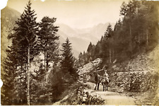 France, the Boreon Valley Photo Vintage Print, Alps Maritimes Albu Print picture