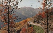 1961 Ventura,CA Newfound Gap Highway,Smoky Mountains-Kline Cadillac,Pennzoil picture