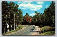 Beautiful Scenic Country Road View 2c stamp Vintage Postcard 0768 picture