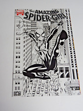 Marvel Comics The Amazing Spider-Girl #1 Black & White Cover Variant picture