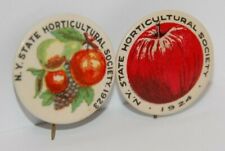 Lot of 2 Antique 1923 1924 New York NY Horticultural Society Pinback Buttons picture