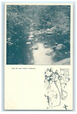 1906 One of our Trout Stream, Tolland, Massachusetts MA Antique Postcard picture