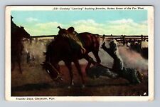 Cheyenne WY-Wyoming, Frontier Days, Cowboy, Bucking Broncho, Vintage Postcard picture