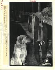 1989 Press Photo A dog looks over a pair of waders - noc83770 picture