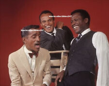 Harry Belafonte Photo 8x10 Sammy Davis Sidney Poitier Actors TV Movies picture
