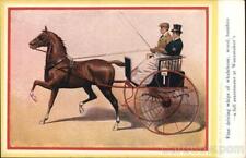Riding in Horse Drawn Buggy David Allen & Sons Ltd. Antique Postcard Vintage picture
