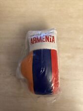 Armenia Flag Boxing Glove Mini Key Chain picture