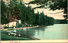 ANTIQUE C.1904 HAND TINTED POSTCARD - SILVER LAKE, LEICESTER, VERMONT picture