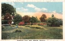 Postcard MO Greetings Ash Grove Missouri Hay Field Unposted Vintage PC H2092 picture