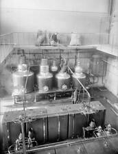 Preparation Of The Absinthe Stills France 1905 OLD PHOTO picture