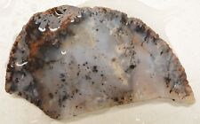 WRG- Montana Agate Slab 30 grams  Lapidary Old Stock picture