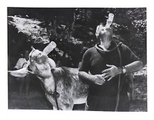 1960s Man Donkey Mule Drinking Beer Comedy Performance Vintage Photo picture
