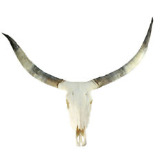 Genuine Cattle Skull with Long Paired Ox Horn Rough Finish - Wall Mountable picture