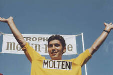 Eddy Merckx wearing the Molteni team jersey 1970s OLD PHOTO picture
