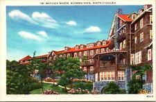 Historic Mayview Manor Streetview Blowing Rock North Carolina Postcard picture