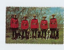 Postcard Members of the Royal Canadian Mounted Police with Trained Dogs picture