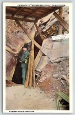 North Carolina Entrance to Moonshiners Cave Chimney Rock Vintage Postcard picture