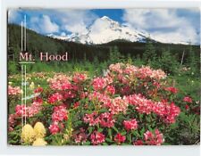 Postcard Mt. Hood, Oregon picture