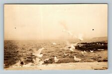 RPPC Ocean Point ME-Maine, Gulls Feeding, Real Photo c1938 Vintage Postcard picture