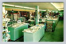 Largo FL-Florida, Shell Land Novelty Shop, Advertising, Vintage Postcard picture