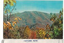 c1960 Fall in the Appalachian Mountains Virginia Tennessee Kentucky Postcard A15 picture