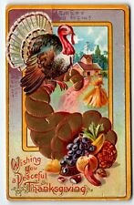 Wishing You a Peaceful Thanksgiving Postcard Turkey Cornucopia 1910 picture