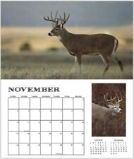 SALE Whitetail Deer 2024 Buck Fever Wall Calendar hunting camp ten point stand picture