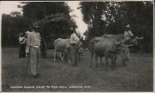 Grenada RPPC Carting Sugar Cane to the Mill B.W.I Real Photo Post Card Vintage picture