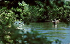 Trout Fishing ~ Battenkill River ~ Arlington Vermont VT ~ 1970s picture