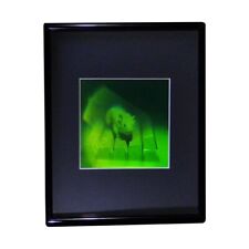 3D Mouse Multi-Channel Hologram Picture FRAMED, Polaroid Photopolymer Film picture