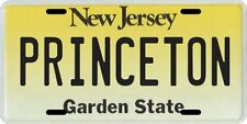 Princeton New Jersey Aluminum License Plate picture