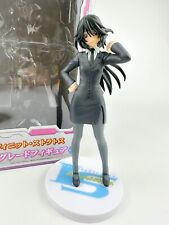 Infinite Stratos Chifuyu Orimura Figure High Grade SEGA 19cm from Japan Anime picture