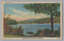 Postcard Minnesota Northfield Greetings Scenic View Linen Unposted A884 picture