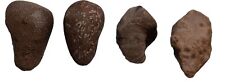 4pc Great Lakes Fossil Mix, Northern Michigan Petoskey Charlevoix Stones Sampler picture