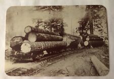 Railroads Transporting Lumber To The Saw Mills & Markets, Michigan. PC (G2) picture