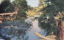 Vintage Postcard Original Old Swimmin' Hole J Riley & friends Greenfield Indiana picture