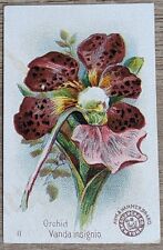 1895 AH800 Church & Co Arm & Hammer Beautiful Flowers Orchid Trade Card #11 picture
