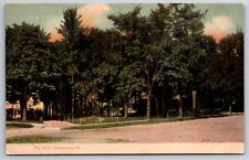Vergennes Vermont~Street View Of The Park Trees~Pub GW Morris Vintage Postcard picture
