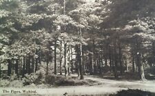 Woking UK Antique Postcard Early 1900s Rare The Pines Surrey London Posted  picture