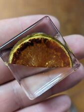 Fig, Preserved In Resin, Educational Natural Curiosity Flower Taxidermy, Fruit picture