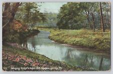 Postcard Missouri Excelsior Springs Swinging Bridge In Regent Park Antique 1909 picture
