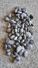 Mini UNPOLISHED Petoskey Stones Authentic Lake Michigan Fossils Jewelry Crafts picture
