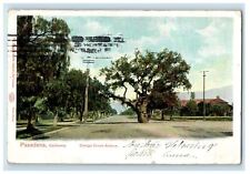 1904 Orange Grove Avenue Pasadena California CA Posted Antique Postcard picture
